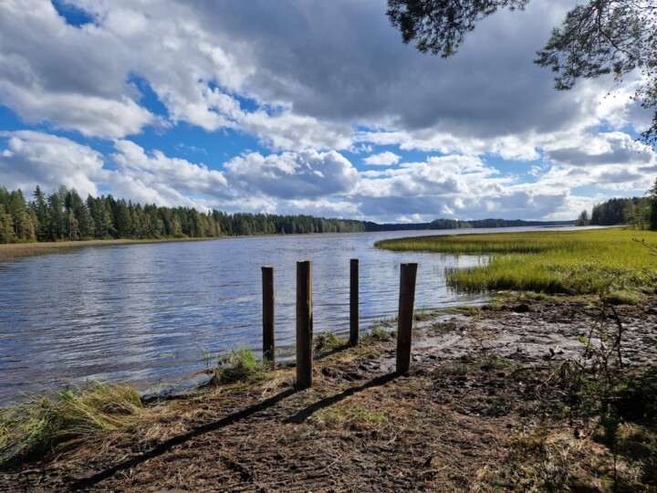 Tekeillä oleva laituri Alavuden Kuotesjärvellä.