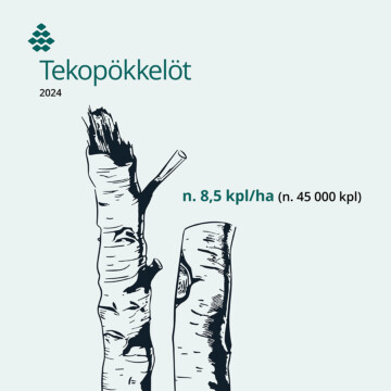 Finsilvan metsiin tehdyt tekopökkelöt vuonna 2024: noin 8,5 kappaletta per hehtaari.